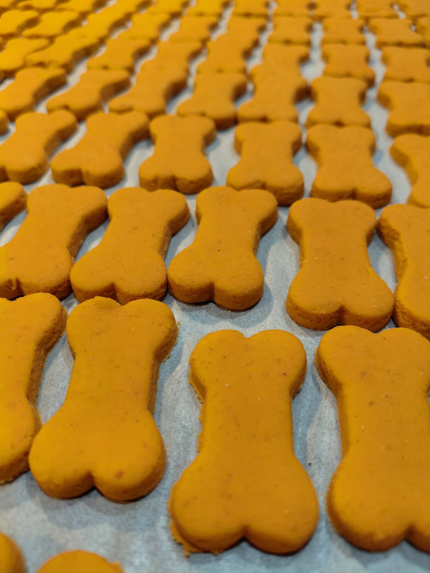 Up close photo of Pumkin Spice Biscuit dog treats. Handmade organic dog treats from The Chosen Spot K9 Kitchen