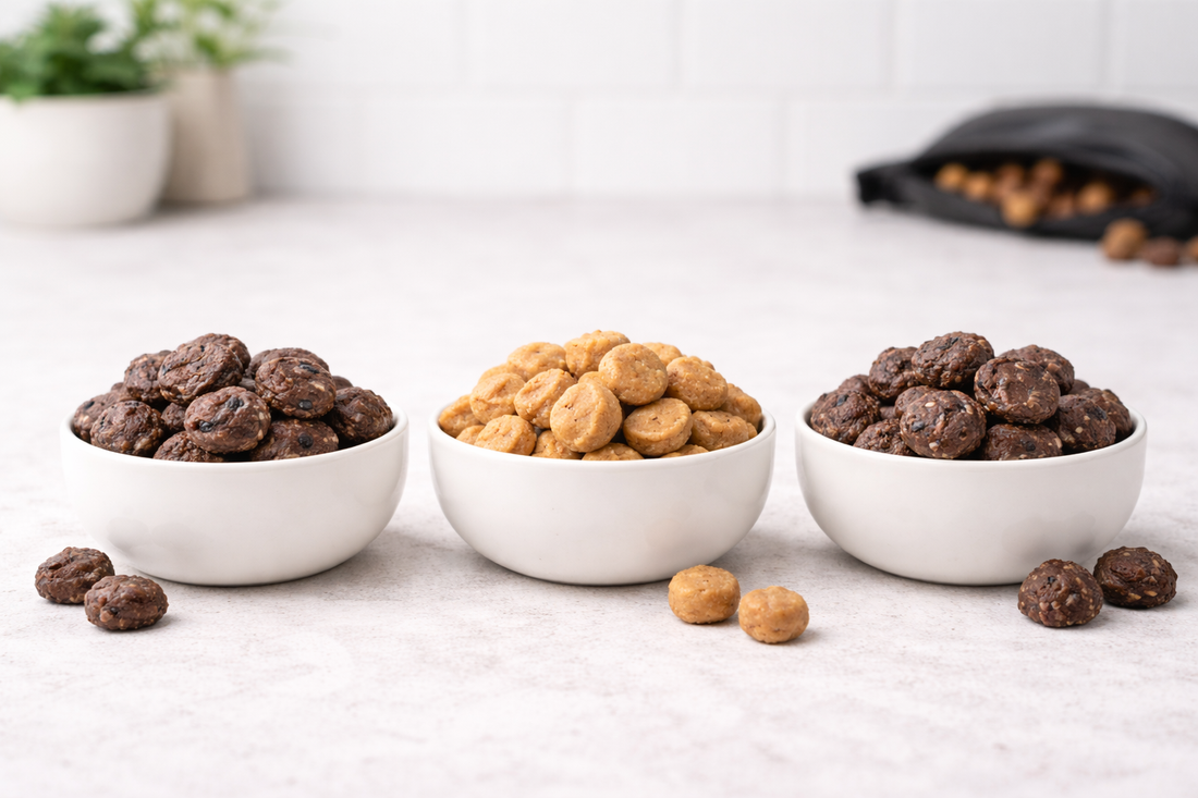 How to Rotate Training Treats Without Confusing Your Dog