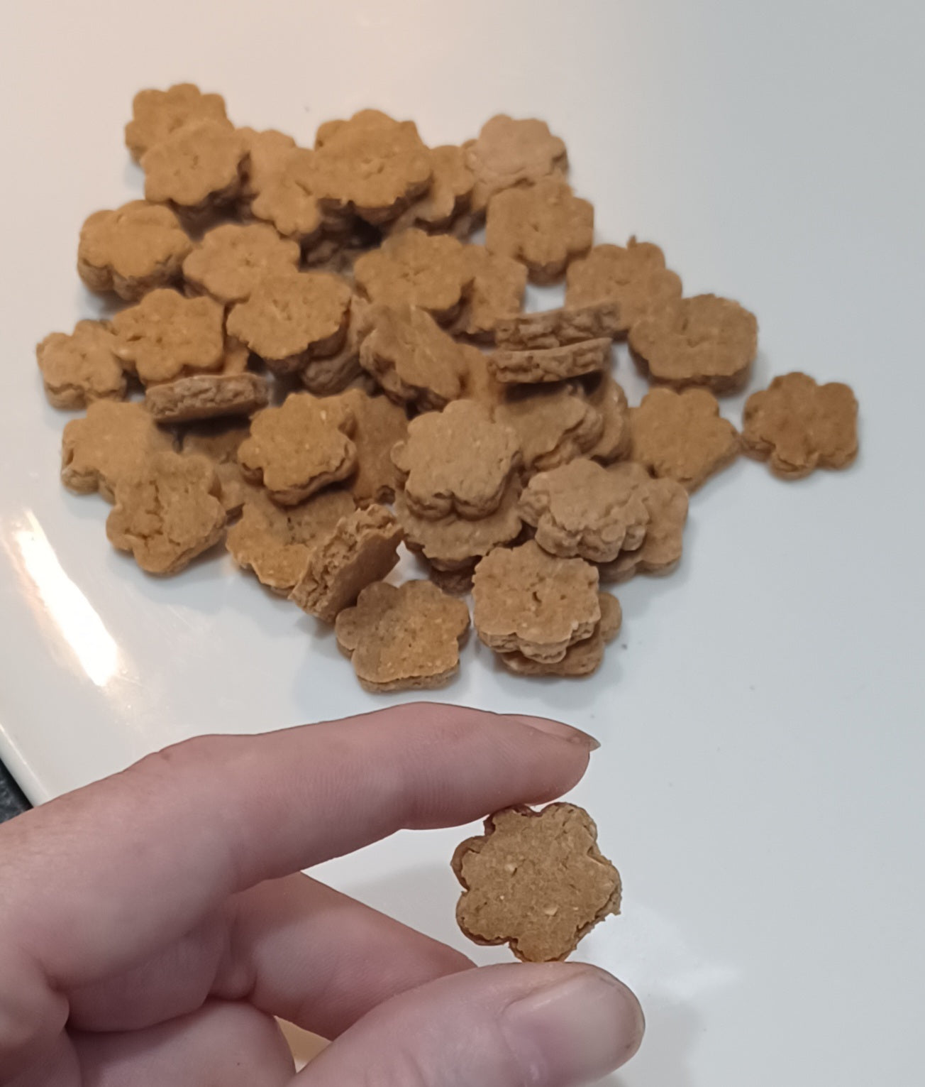 Fish Feet Training Dog Treats - Salmon, Tuna OR Sardines