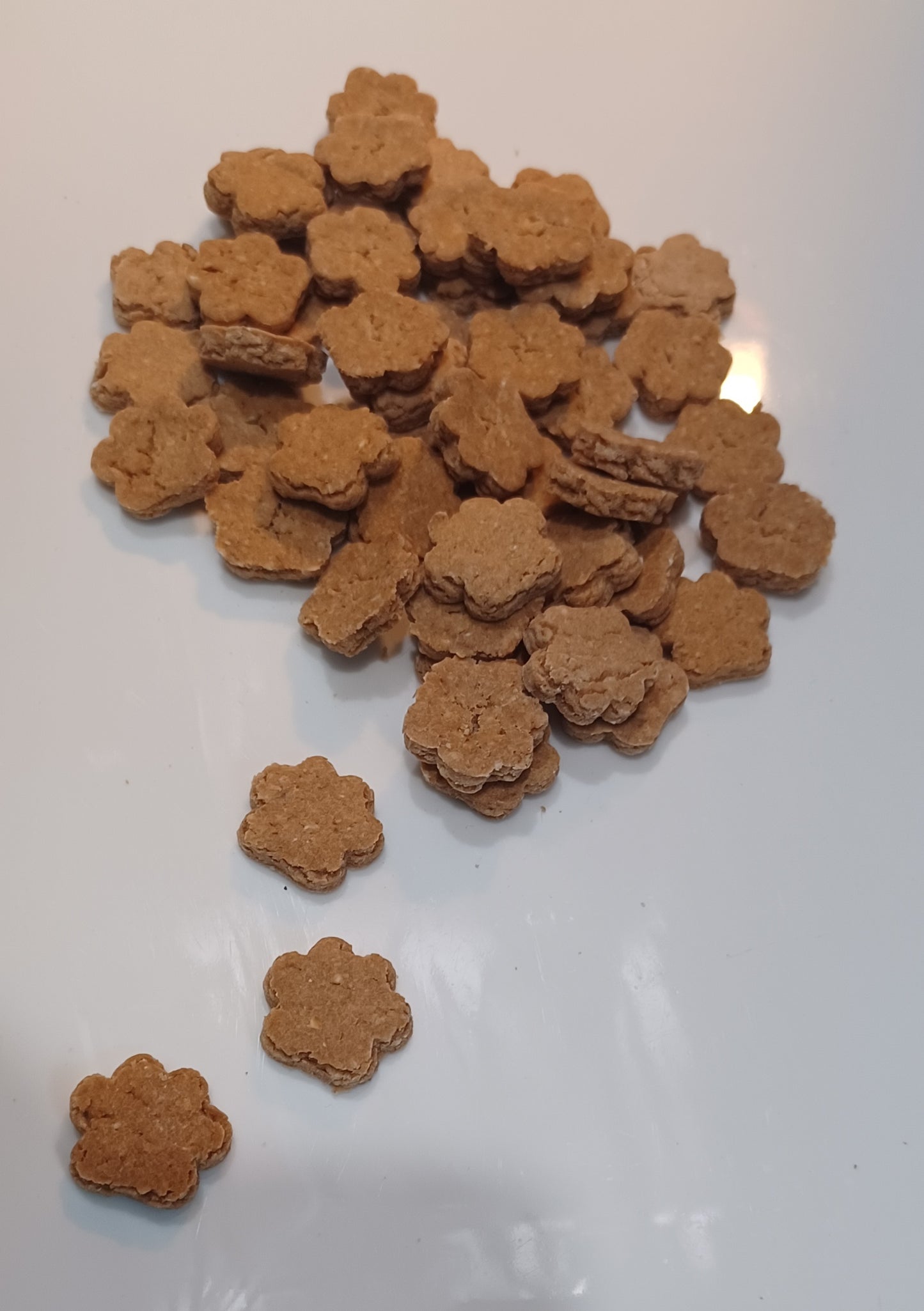 Fish Feet Training Dog Treats - Salmon, Tuna OR Sardines