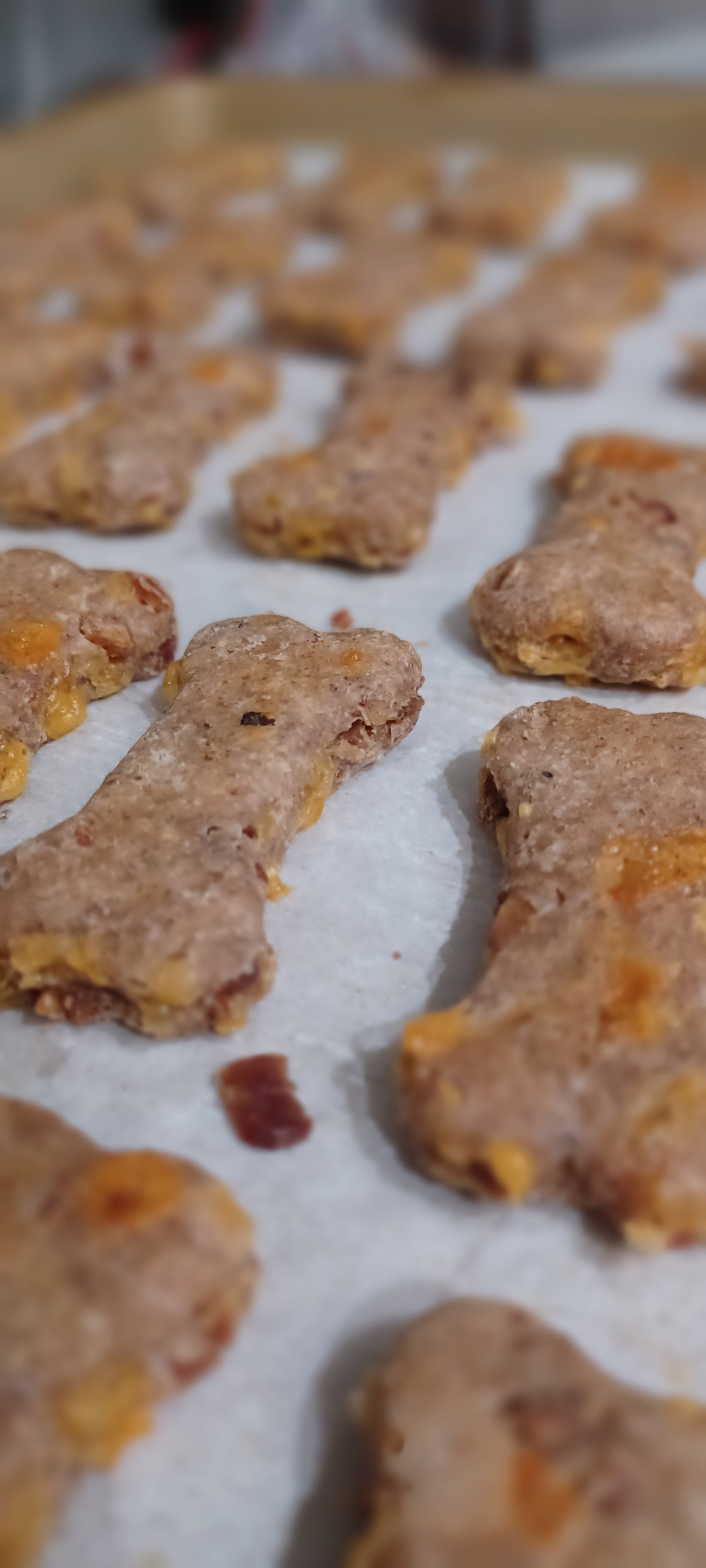 Bacon Cheddar Biscuits All Natural Organic Dog Treats shown from a diagonal angle