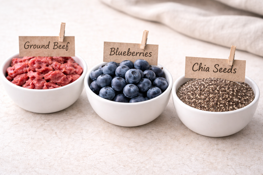 Beef + Blueberry Bites 🥩🫐 Handmade Organic Dog Treats