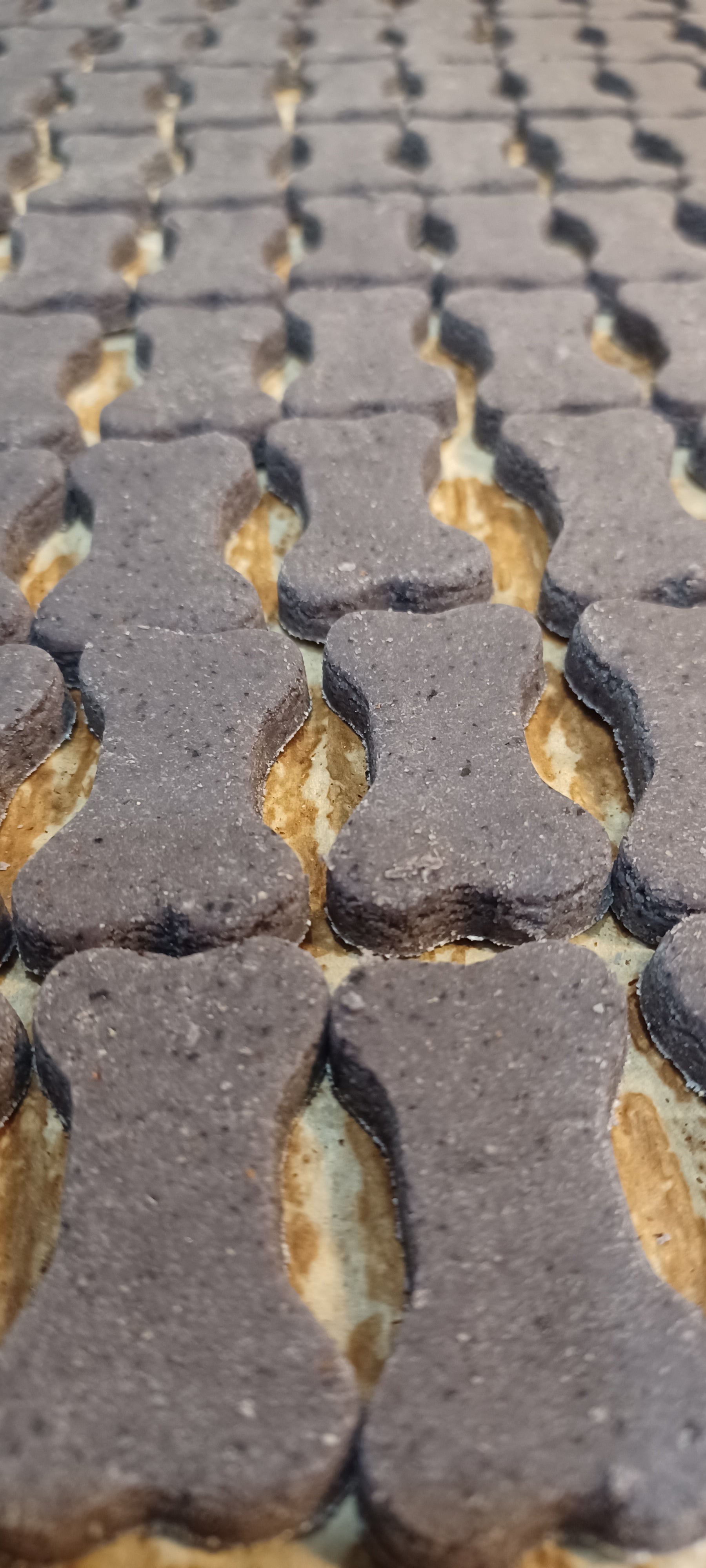 Ginger-Berry Bones Organic Dog Treats - Up Close
