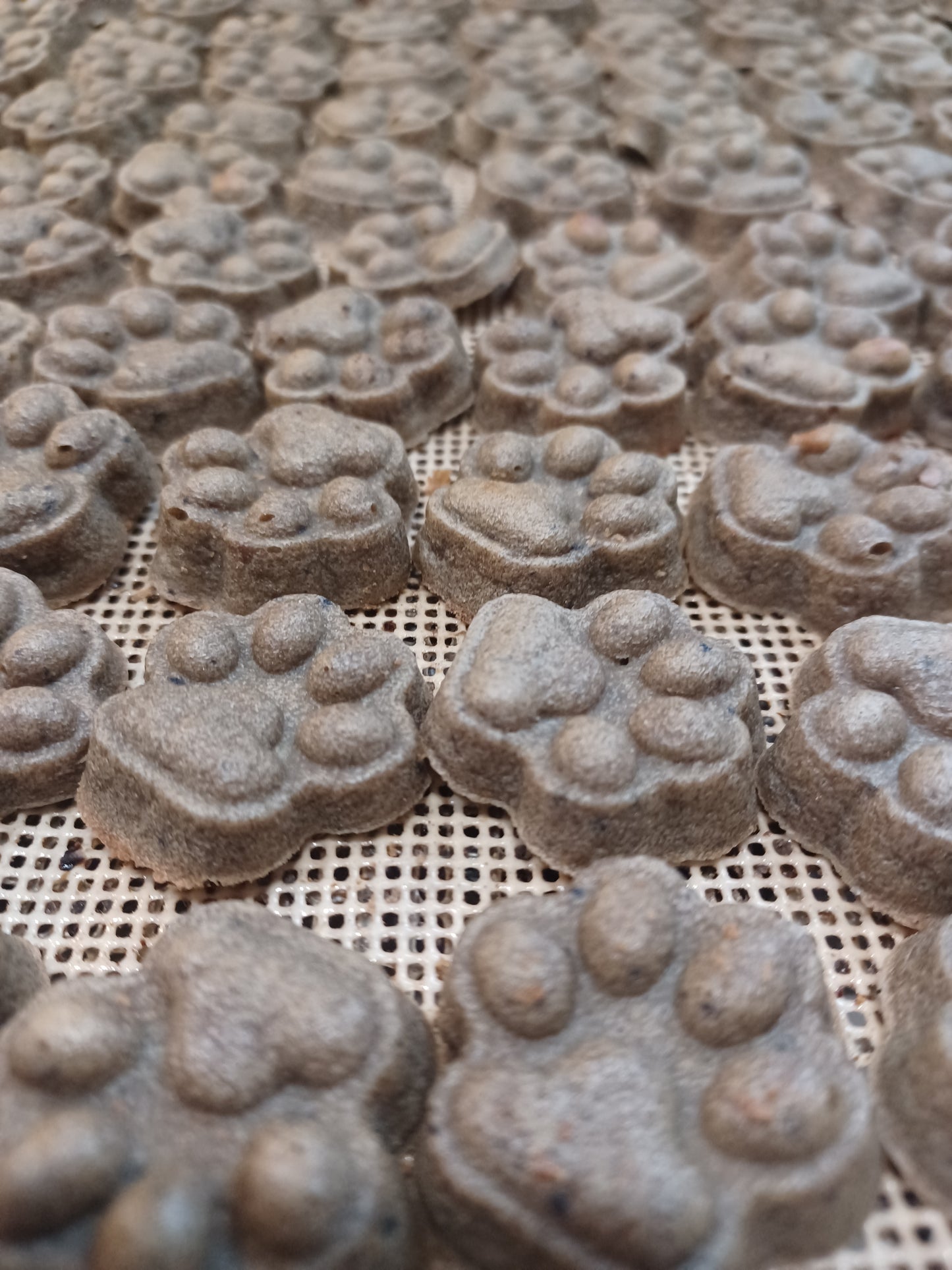 Close-up of Liver + Blueberry Dog Treats with paw print patterns