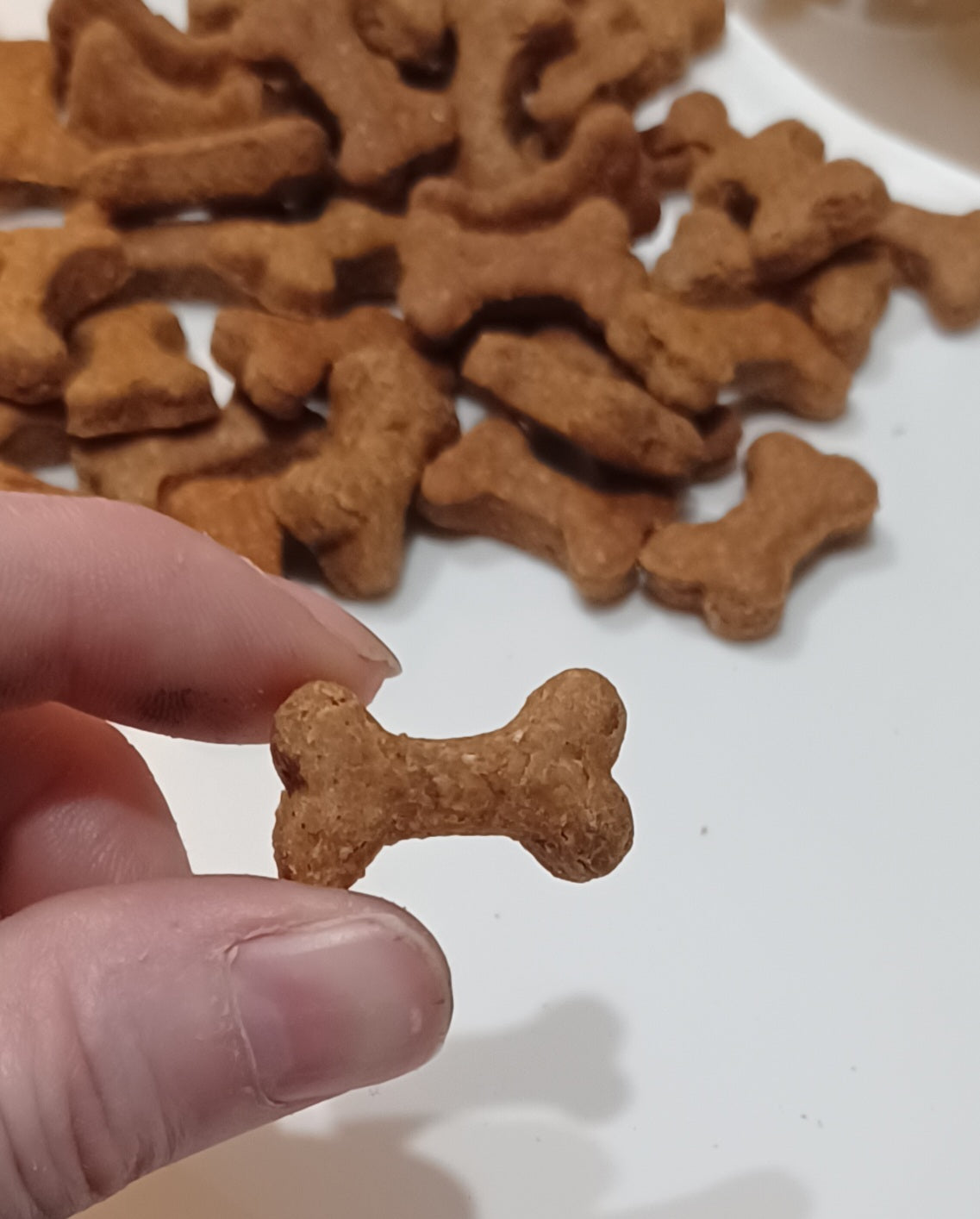 Mini Peanut Butter Bones Organic Dog Treats - Close Up