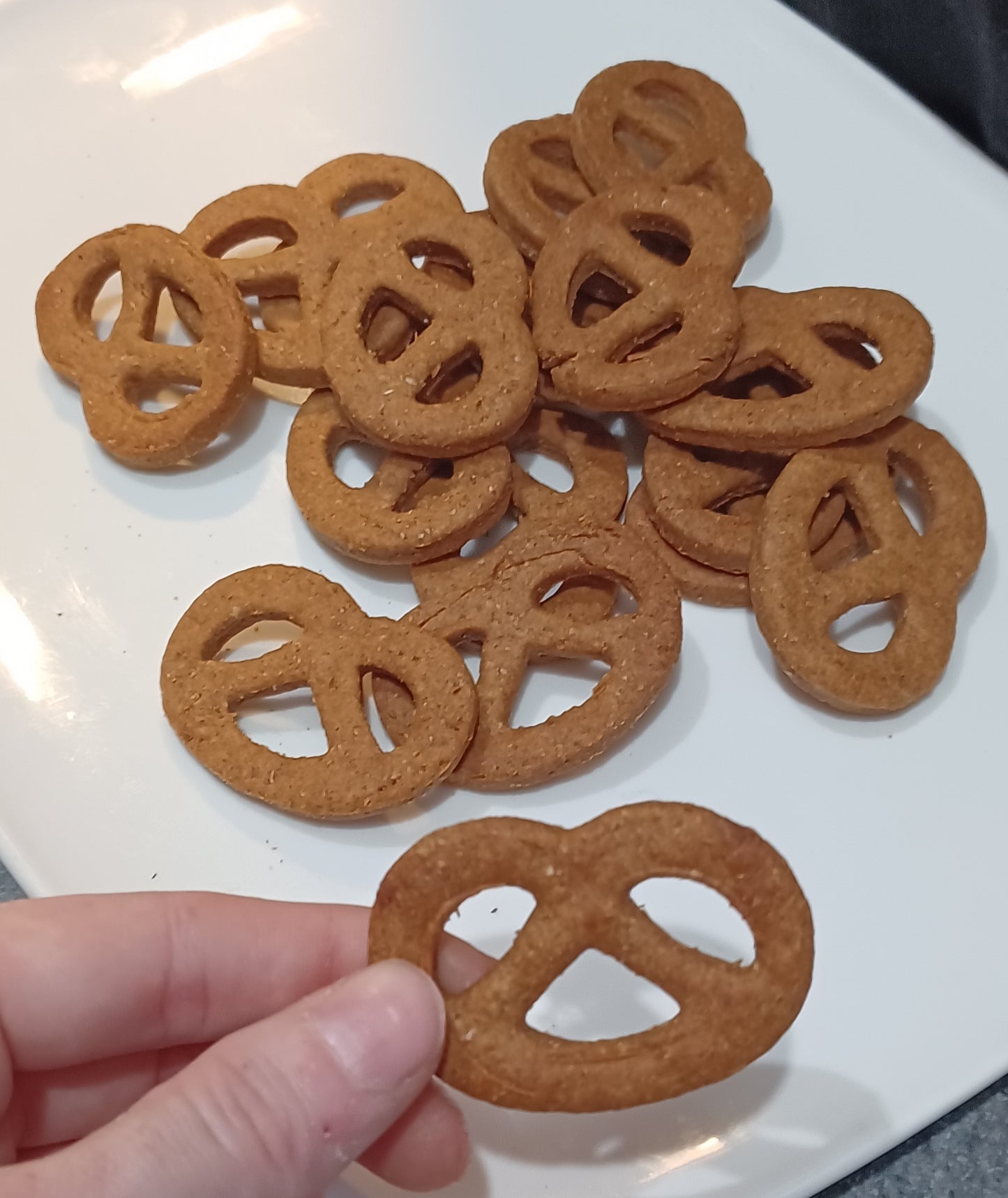 Peanut Butter Pretzel Organic Dog Treat