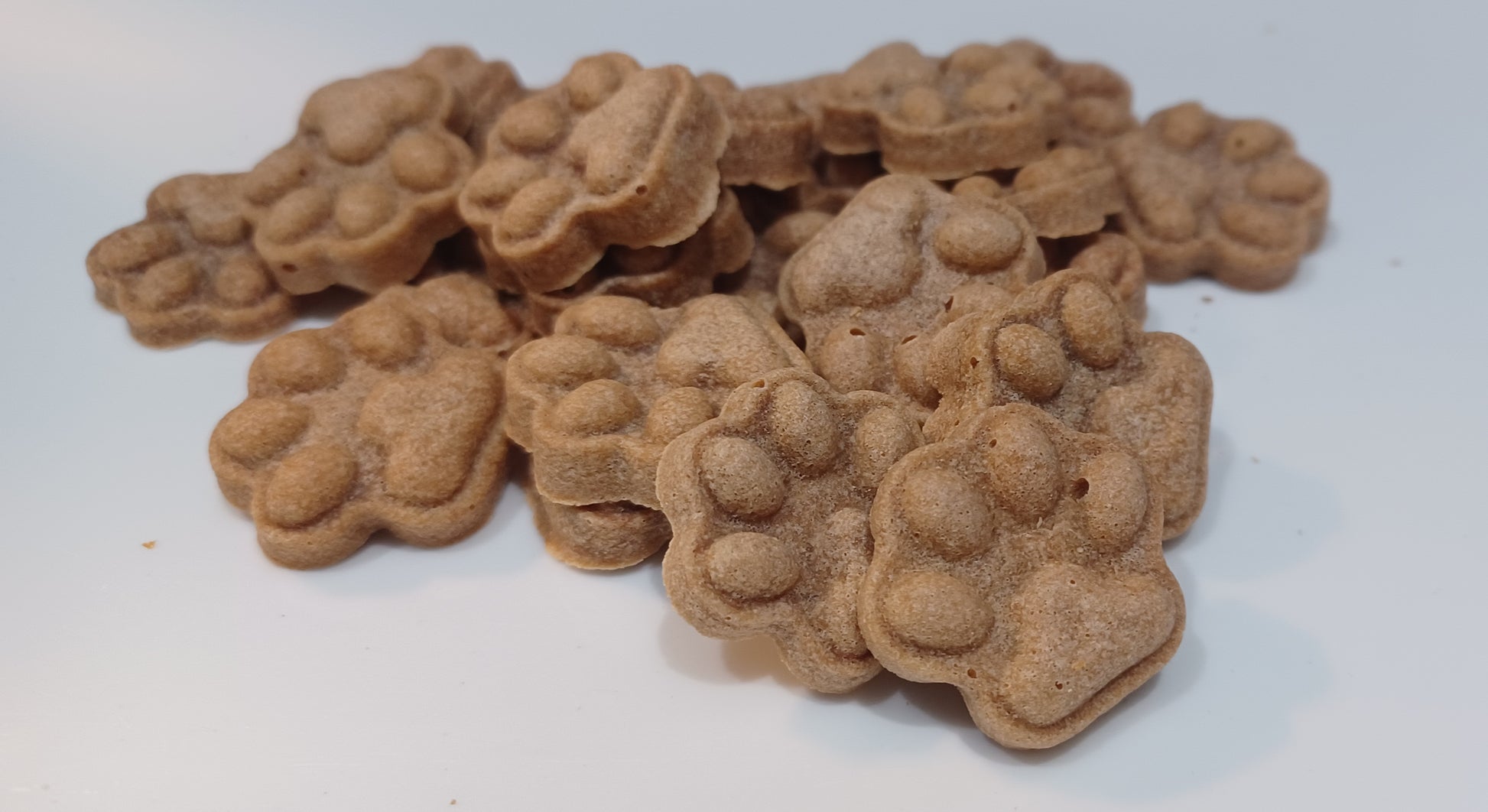 Salmon Paws Organic Dog Treats Close-Up